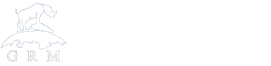 环球犀牛机械有限公司